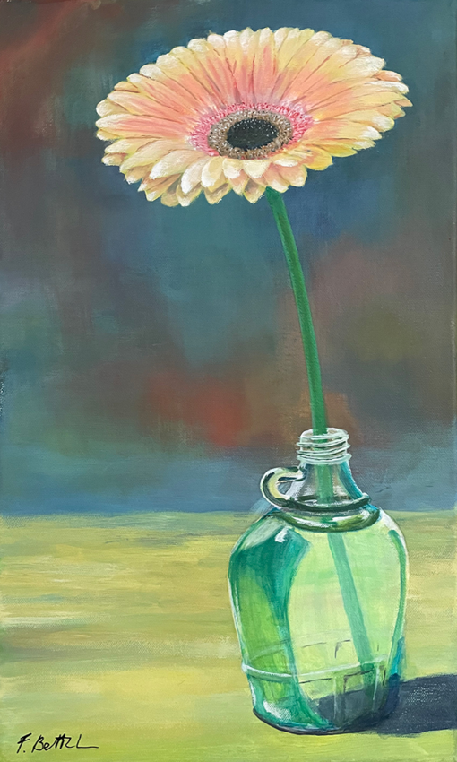Gerbera