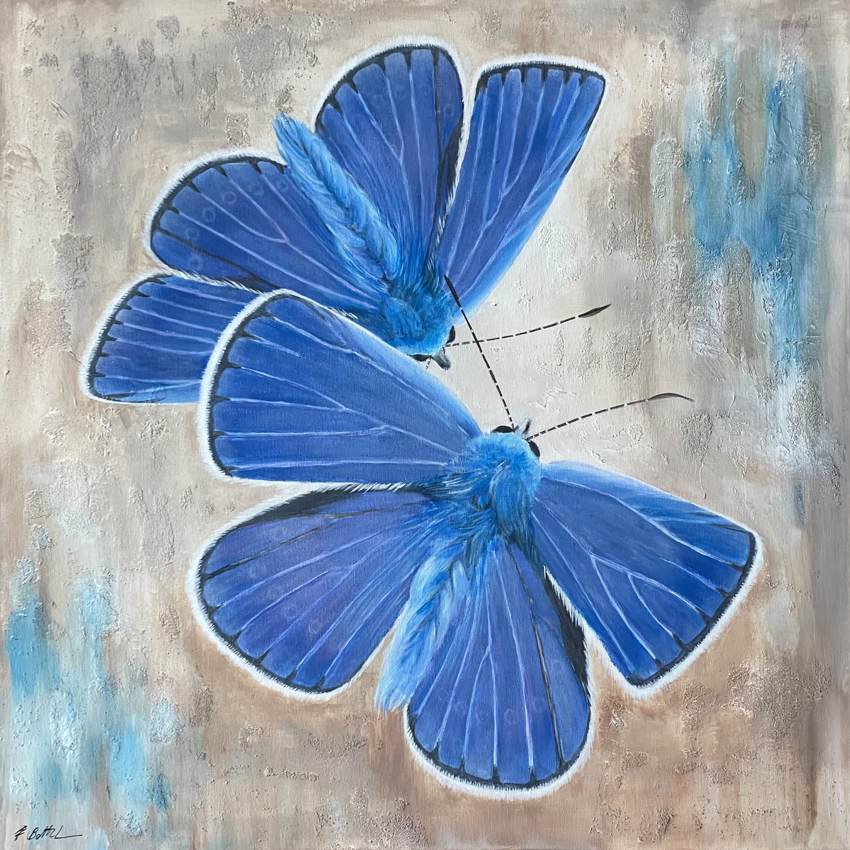 Papillons — due farfalle blu su fondo materico